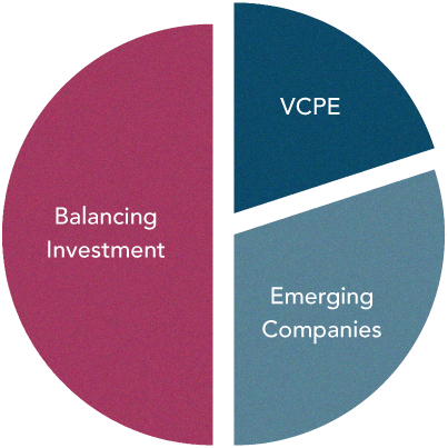 A pie graph that shows the complying investment framework for 188b visa holders 